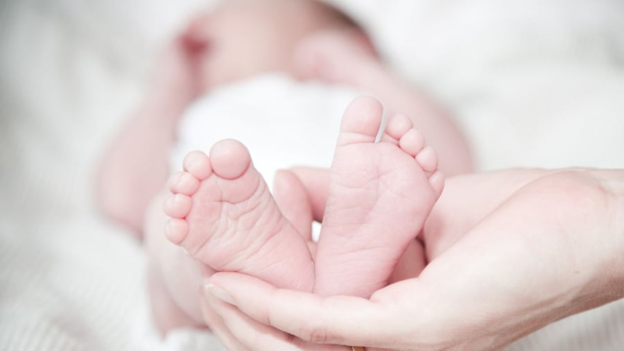 Ra đời trong thời điểm vàng giúp con và cha mẹ hòa hợp thuận lợi