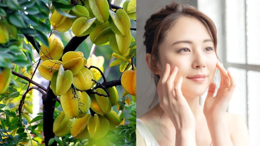 Lá khế giúp trị mụn nhọt