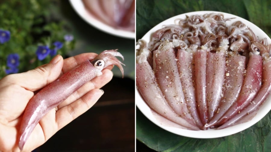 Chọn mực tươi ngon là yếu tố quan trọng quyết định độ ngon của món mực hấp.