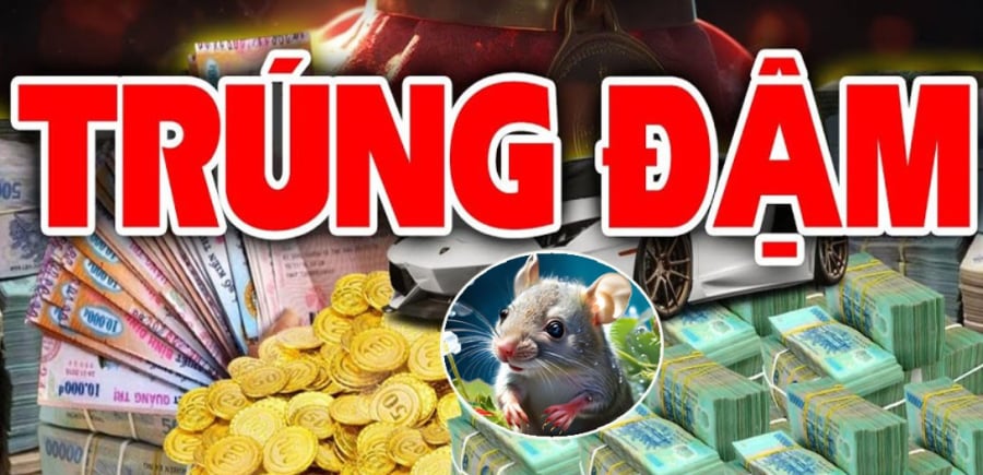 Tuổi Tý may mắn 2 năm tới