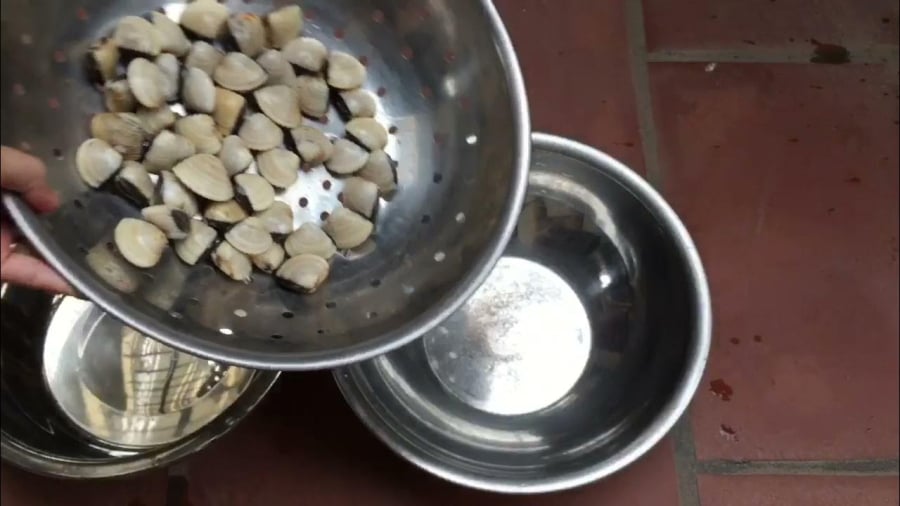 Mẹo làm sạch ngao ốc nhanh chóng