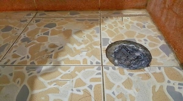 Phòng tắm thường là nơi tích tụ tóc rụng sau khi tắm gội, và nếu không dọn dẹp kịp thời, tóc sẽ gây tắc nghẽn đường ống thoát nước, ảnh hưởng đến sinh hoạt hàng ngày. 