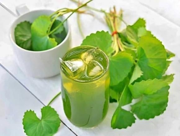 Rau má từ lâu được biết đến là loại thảo mộc có tính mát, giúp thanh nhiệt và giải độc cơ thể, đặc biệt hiệu quả trong việc phòng ngừa say nắng.