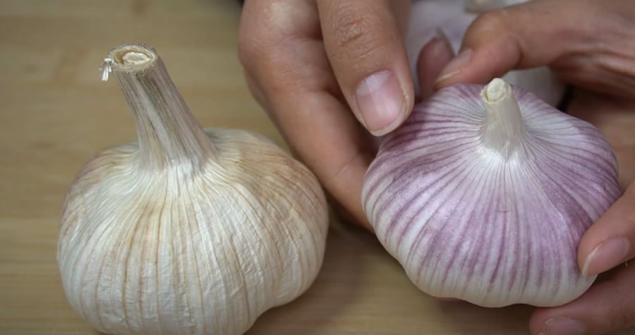 Tỏi vỏ tím và tỏi vỏ trắng có hương vị khác biệt.