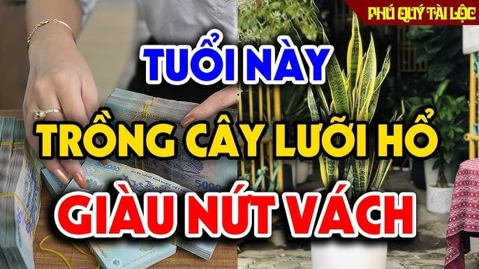 Đặt một chậu nhỏ trên bàn làm việc hoặc phía sau lưng chỗ ngồi để tạo thế “tựa núi đỡ lưng”.