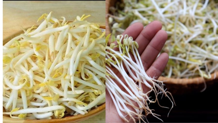 Người dân cần chú ý khi mua giá đỗ