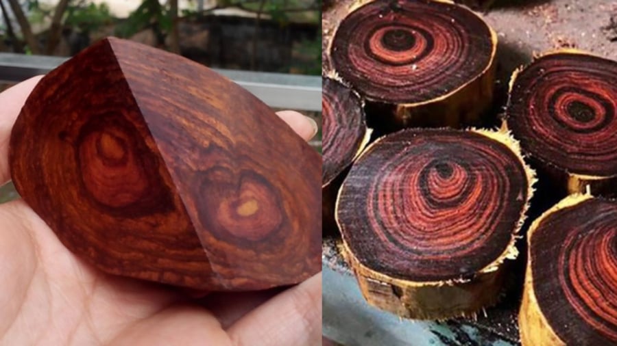 Gỗ sưa đỏ có vân đẹp