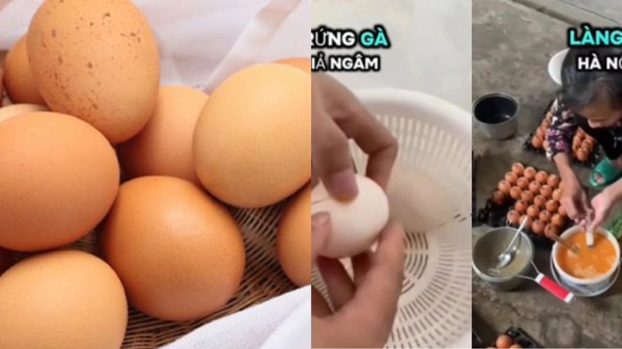 Tin đồn trứng gà giả gây xôn xao