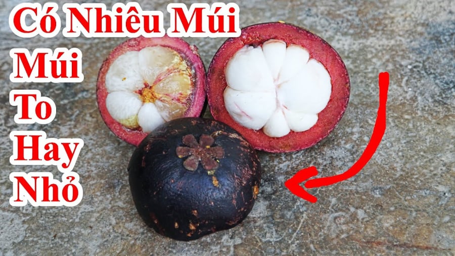 Đếm số múi của quả