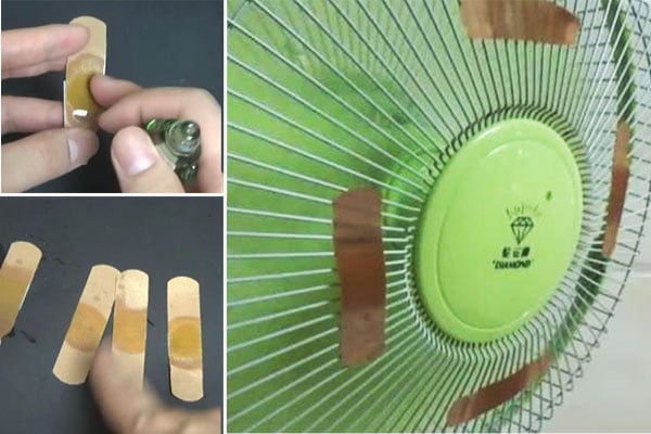 Cách biến quạt thành thiết bị đuổi muỗi