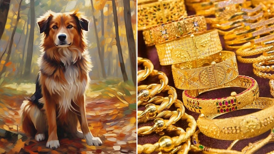 Tuổi Tuất được dự báo có tài vận rực rỡ trong thời gian tới.