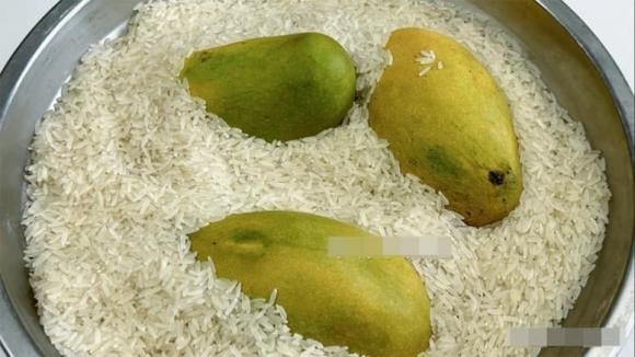 Mua trái cây chưa chín như xoài, chuối, kiwi