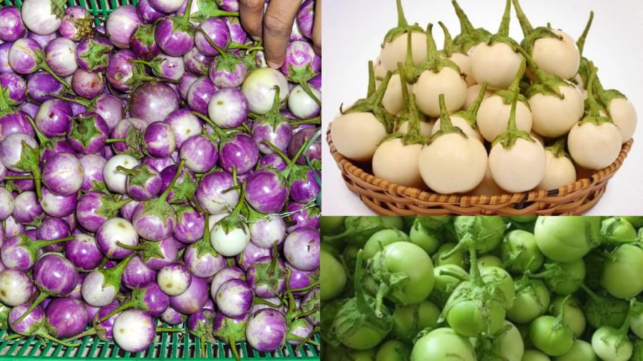 Chú ý khi chọn cà