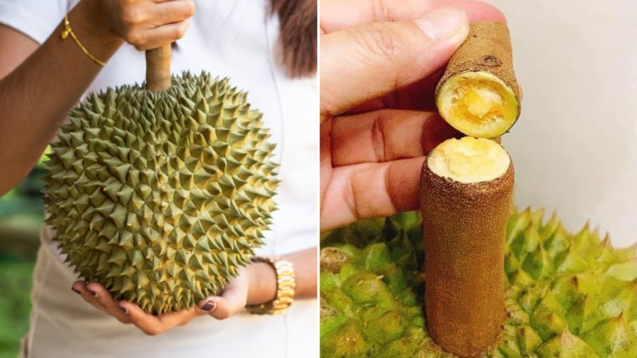 Khi chọn sầu riêng, bạn nên quan sát phần gai và phần cuống.