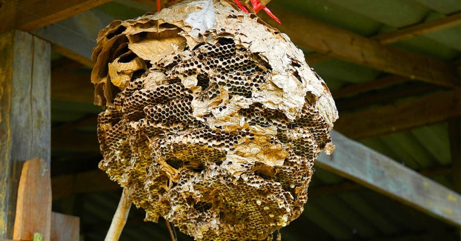 Những điều tưởng là ngẫu nhiên thật ra là phúc báo từ đời trước, chỉ khi đủ duyên mới đến tay con cháu.
