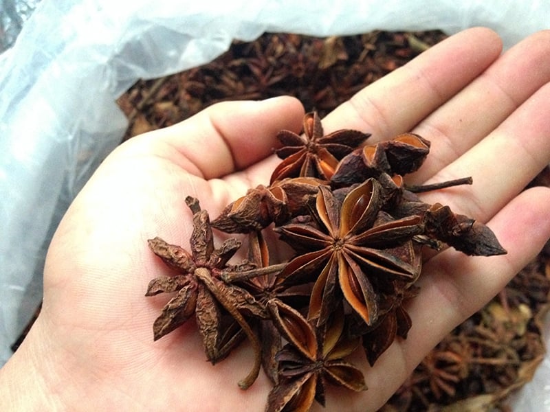 Theo số liệu của Hiệp hội Hồ tiêu Việt Nam (VPSA), chỉ trong tháng 4/2025, Việt Nam đã xuất khẩu 2.436 tấn hoa hồi, đạt 9,7 triệu USD – tăng tới 90,2% về kim ngạch so với tháng trước
