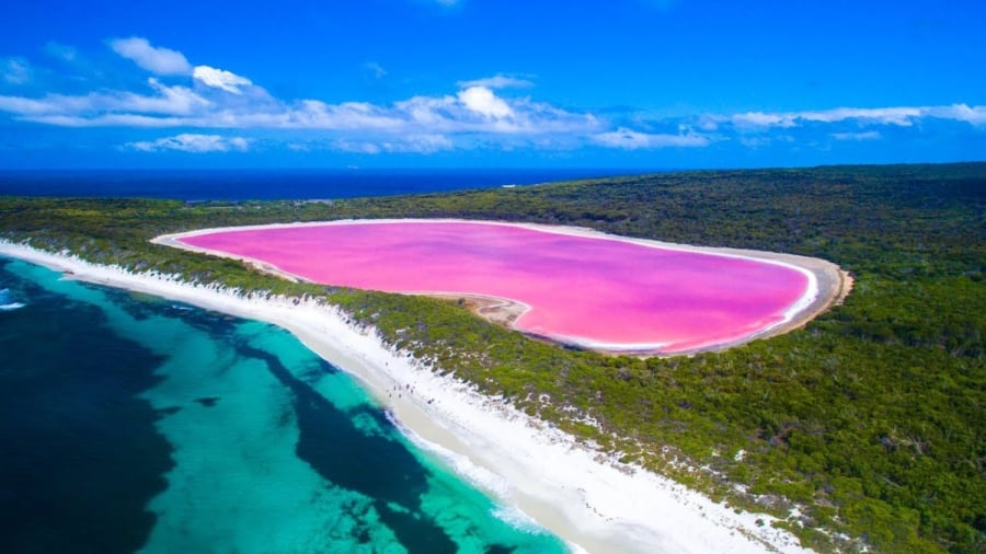 Hồ Hillier nằm trên đảo Middle (Australia) nổi bật với sắc hồng rực rỡ, như một chiếc gương soi màu kẹo ngọt giữa thiên nhiên xanh ngắt