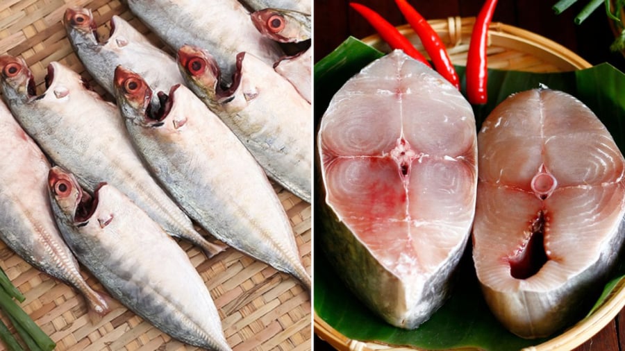 Cá cung cấp nhiều chất dinh dưỡng, tốt cho sức khỏe nhưng đây không phải là thực phẩm phù hợp với tất cả mọi người.