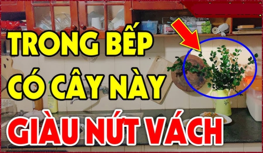 Trong nhà có 3 mùi thơm này phúc lộc giàu có