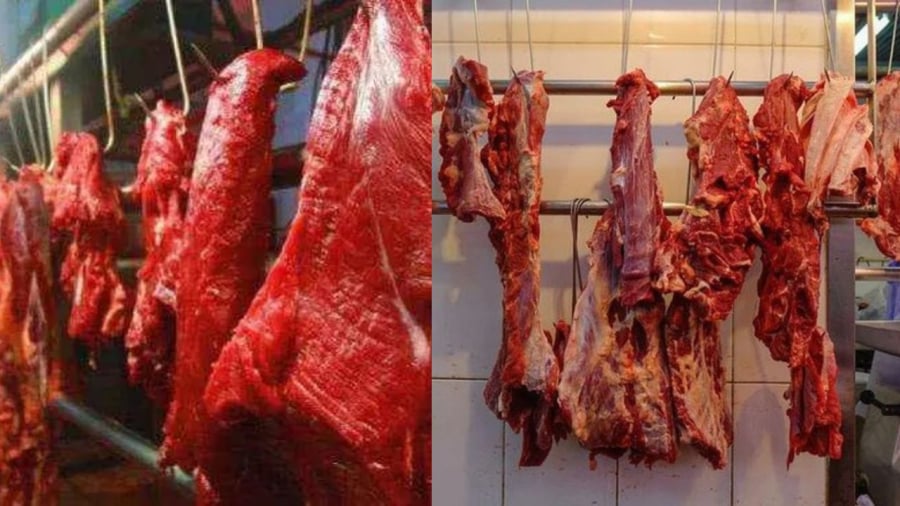 Các loại thịt mà con người ăn chủ yếu là từ động vật ăn cỏ (bò, trâu, lợn, gà, dê, cừu...)