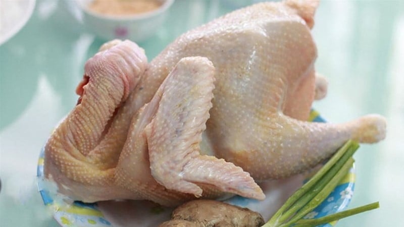 Mào gà đỏ tươi là dấu hiệu của gà khỏe mạnh, thịt ngon.