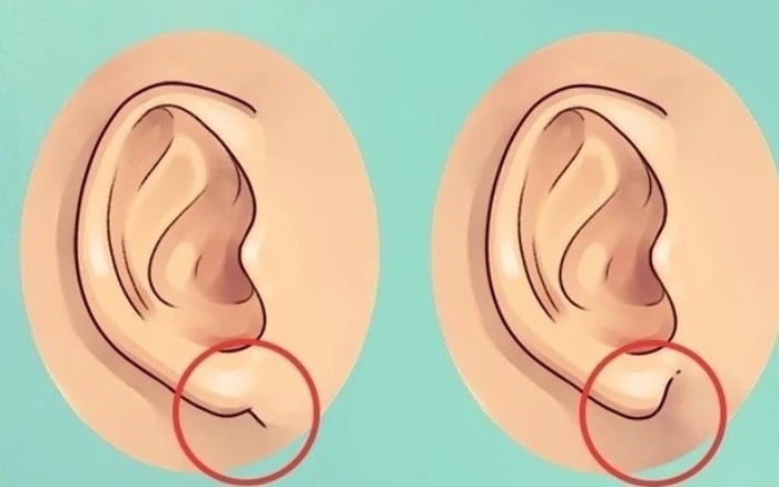 Đây là đặc điểm tướng học điển hình của người trường thọ, phúc hậu và giàu sang.