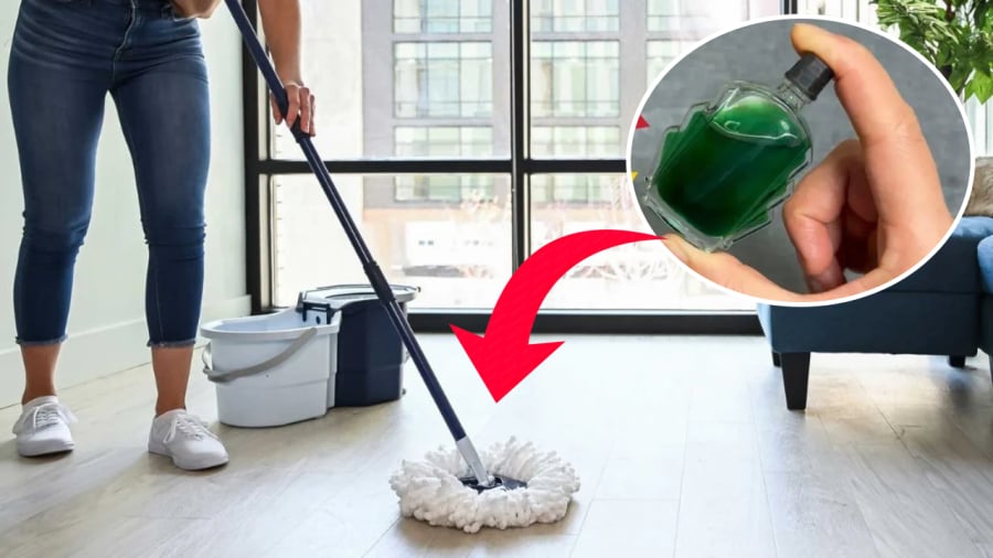 Nhỏ dầu gió vào nước lau nhà mang lại nhiều lợi ích đặc biệt.