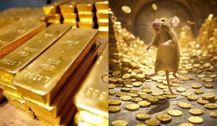 tuổi Tý may mắn từ 29/5-7/6