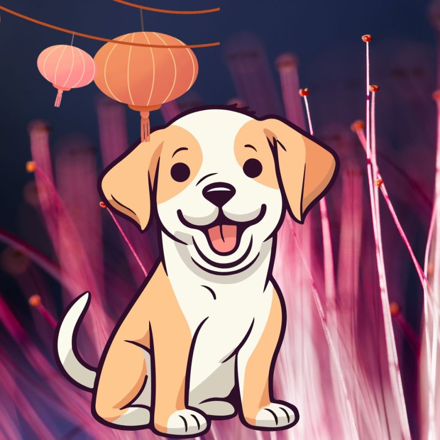 Tuổi Tuất đón năm 2026 bừng sáng