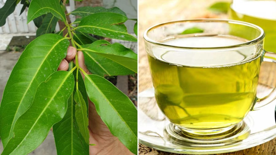 Nước vối mang lại nhiều lợi ích cho cơ thể.