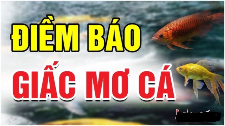 Những giấc mơ báo điềm may mắn