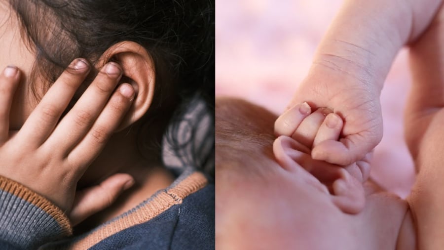 Kích thước đôi tai có liên quan tới trí thông minh