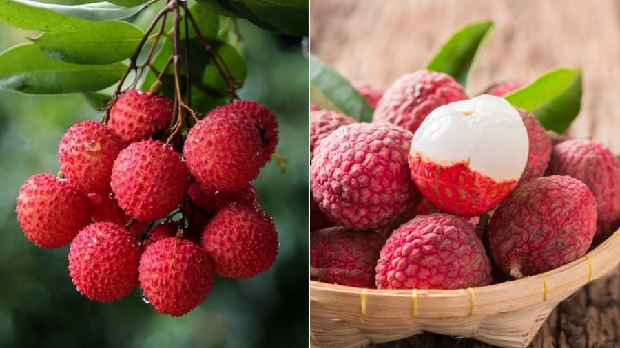 Khi ăn vải, cần phải chú ý một số điểm để tránh bị nóng trong người, nổi mụn nhọt, ngứa ngáy.