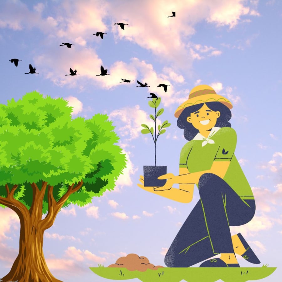 Cây cối xanh tốt chim chóc ríu rít báo hiệu vượng khí