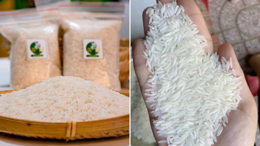 Gạo ST25 từng đạt danh hiệu