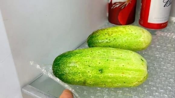 Khi cất trữ trái cây và rau củ vào tủ lạnh, việc va chạm nhẹ trong quá trình sắp xếp cũng có thể làm trầy xước, khiến thực phẩm nhanh hỏng.