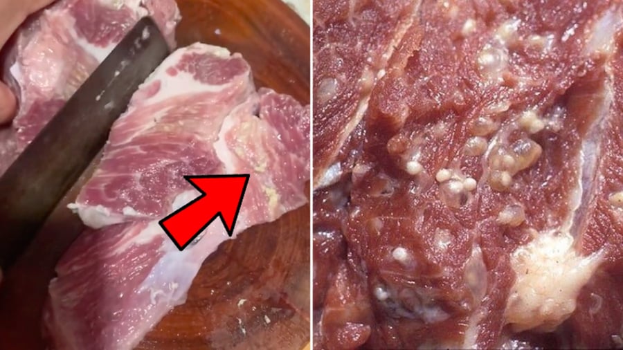 Nếu thấy thịt lợn có màu sắc bất thường, có những đốm trắng li ti xen kẽ trong thớ thịt, tốt nhất không nên mua vì đây là dấu hiệu thịt lợn bị nhiễm sán.