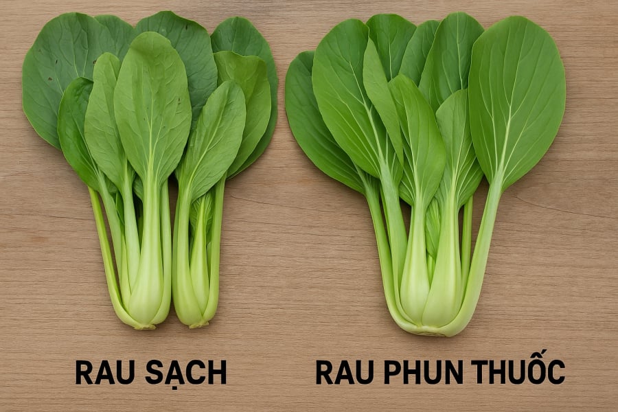 Rau sạch thường không hoàn hảo, đôi khi có vết sâu nhỏ – dấu hiệu tự nhiên của rau không hóa chất.