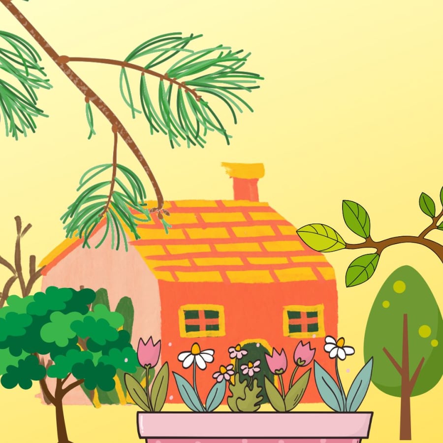 Cây cối trong nhà xanh tốt là điềm báo tốt lành