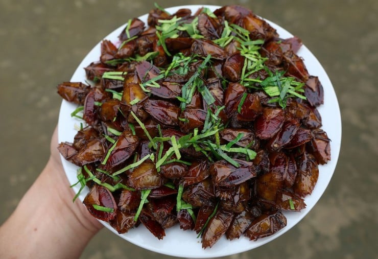“Sợ xanh mặt” với 3 đặc sản miền Bắc: Nhìn rùng mình nhưng ăn là mê