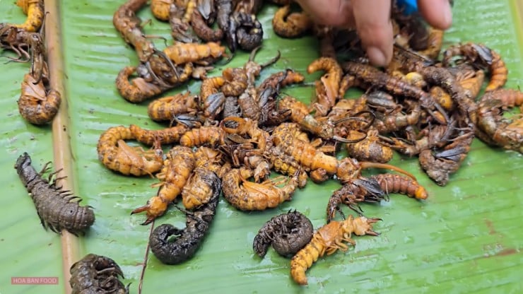 “Sợ xanh mặt” với 3 đặc sản miền Bắc: Nhìn rùng mình nhưng ăn là mê