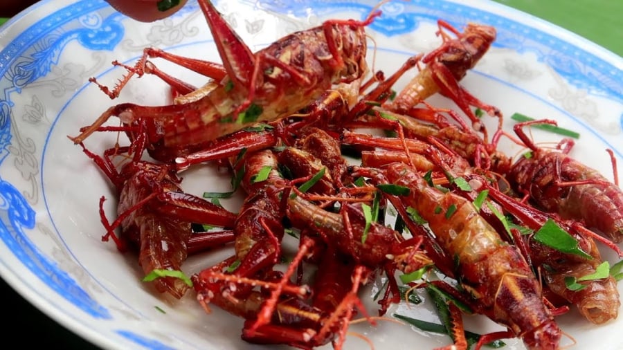 “Sợ xanh mặt” với 3 đặc sản miền Bắc: Nhìn rùng mình nhưng ăn là mê