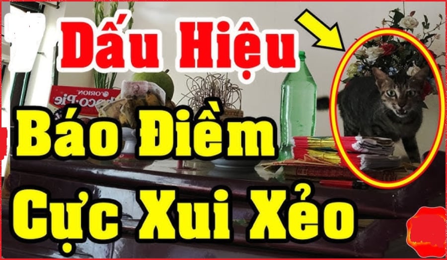 Những điềm báo trong nhà khiến gia chủ hao tài tán lộc