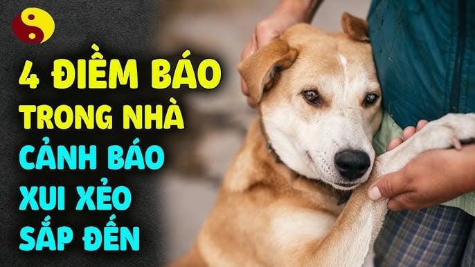 Điềm báo xui xẻo trong nhà