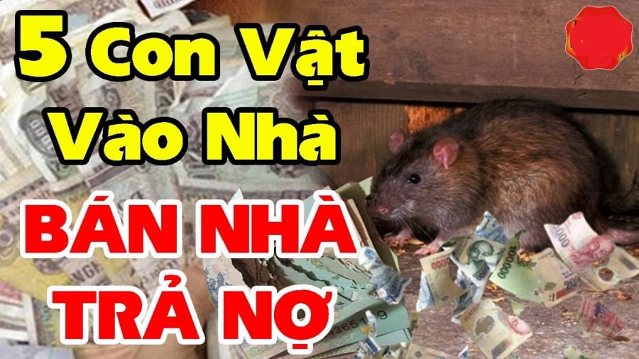 5 con vật vào nhà chặn cửa Tài Lộc