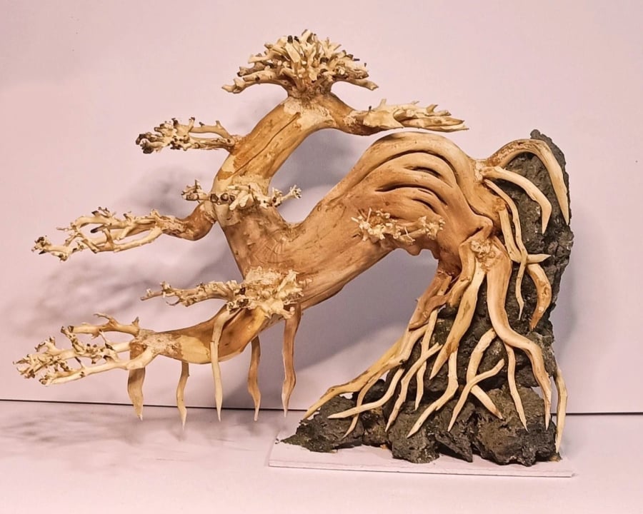 Gỗ lũa
