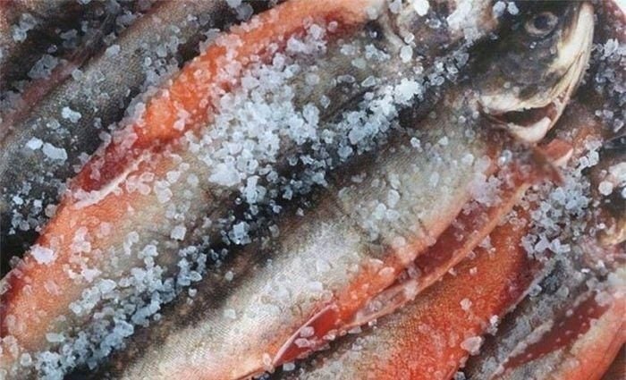 Sai lầm khi ăn cá khiến mất sạch dinh dưỡng gây bệnh