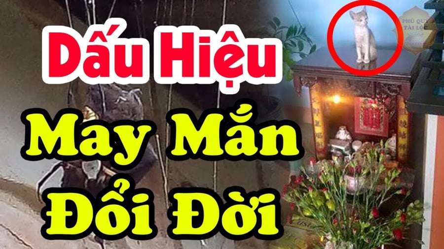 Dấu hiệu nhà có phúc khí tổ tiên độ mạng giàu có