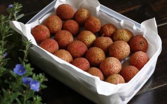 Đây là phương pháp phổ biến và hiệu quả nhất nếu bạn muốn giữ vải tươi ăn dần trong vòng 5 – 7 ngày.