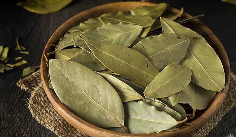 Lá nguyệt quế Việt Nam – từ nguyên liệu dân dã đến mặt hàng xuất khẩu giá cao.